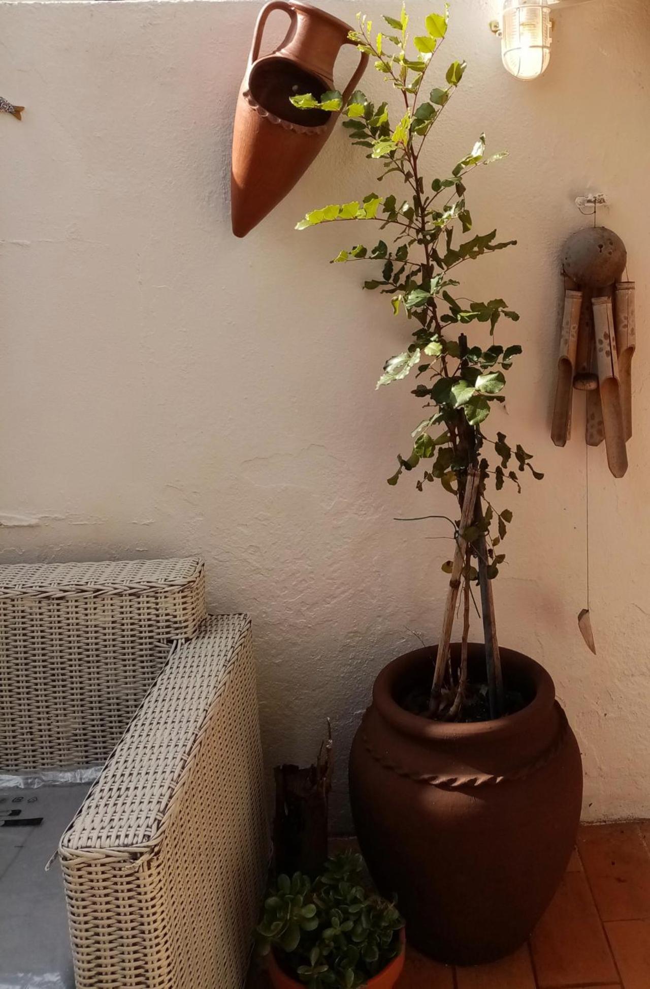 Casa Rustica Villa Olhão Dış mekan fotoğraf
